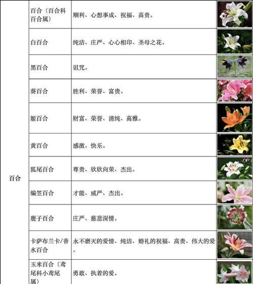 花语堂不走大门的原因是什么？