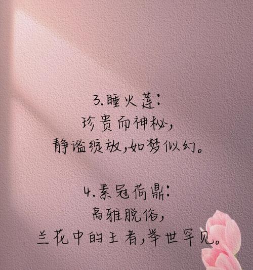 努力绽放的花语有何含义？这种表达方式适合哪种情感？
