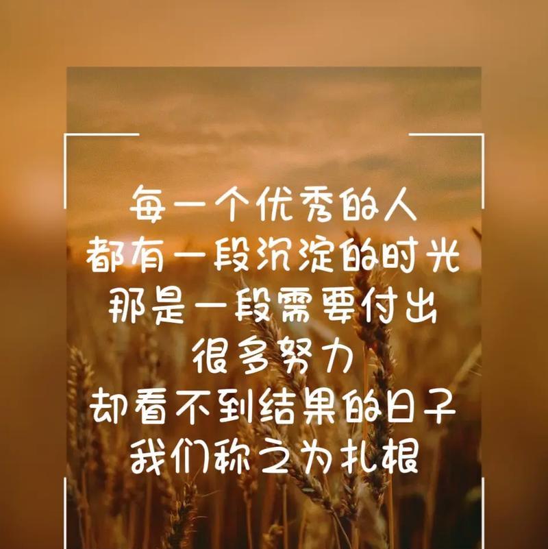 努力绽放的花语有何含义？这种表达方式适合哪种情感？