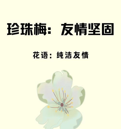 哪种花代表十年的友谊？花语中有哪些是关于长久友情的？