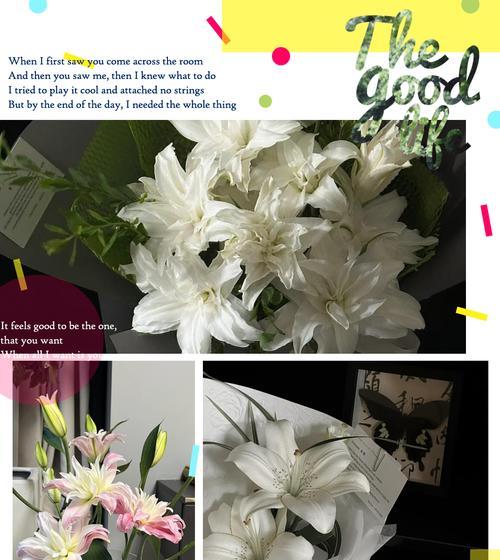 百合花作为朋友的寓意是什么？它代表了什么？