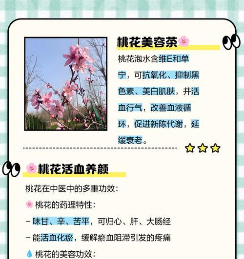 桃花有什么花语功效？桃花在文化中代表了哪些意义？