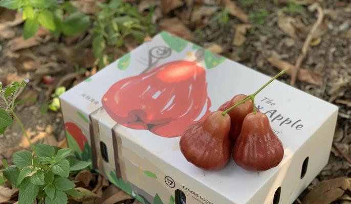 莲雾花语有哪些特别含义？