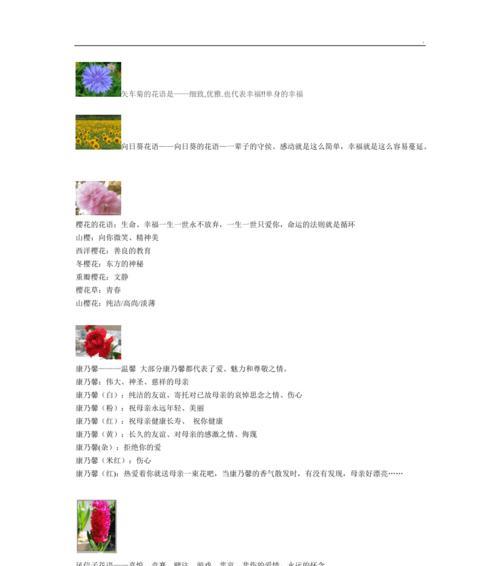 哪种花的花语代表受欢迎？