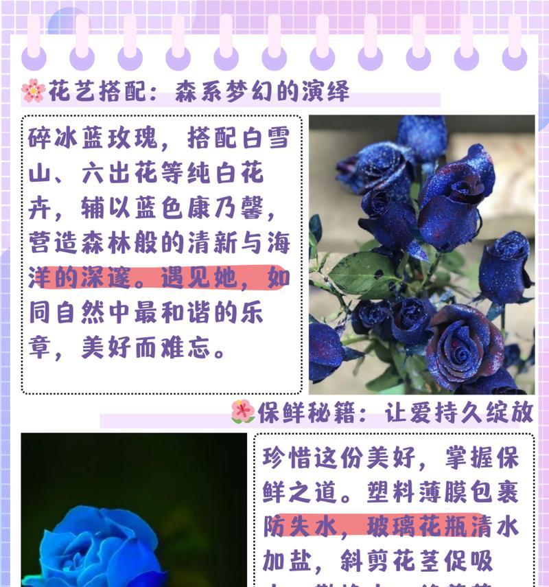 垃圾中的玫瑰花语有何特殊意义？