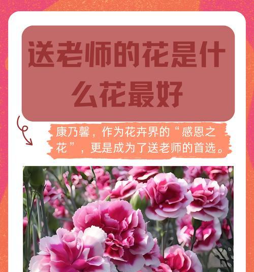 实验动物纪念日用什么花表达敬意？