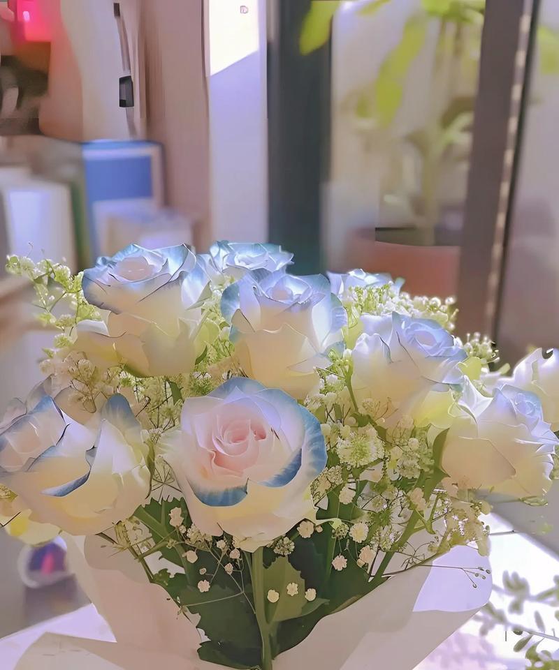 语文老师偏爱哪种花的花语？
