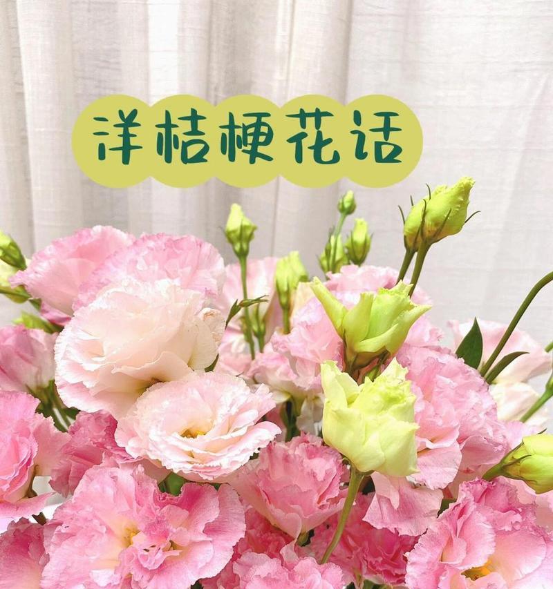 遇到花时花语通常表达什么？
