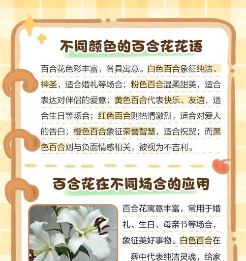 洁白无瑕的花代表什么？花语有何含义？