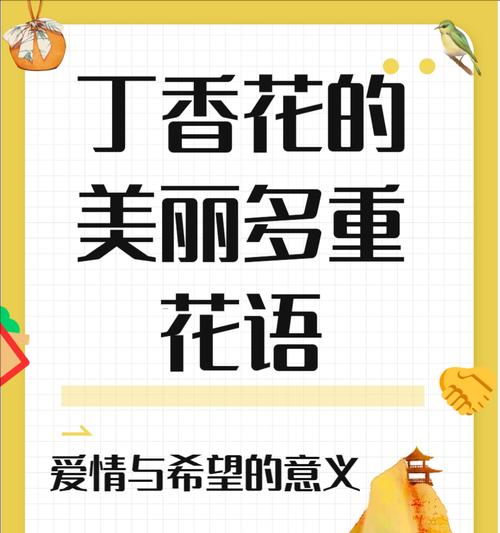 美德之花的所有花语是什么？如何用花语表达美德？