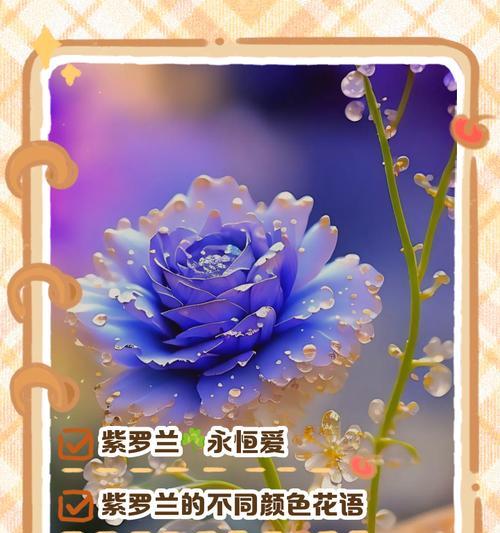 美德之花的所有花语是什么？如何用花语表达美德？