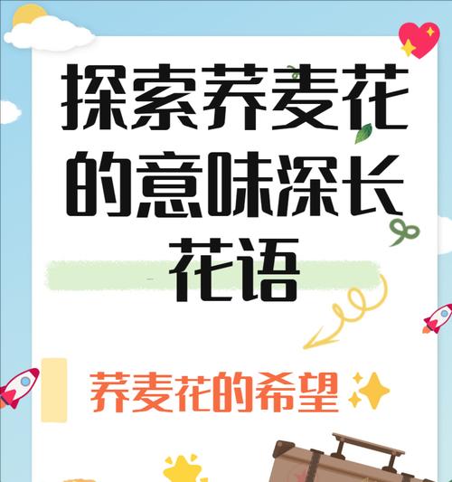 花语偏执的结局是什么？它传达了怎样的情感？
