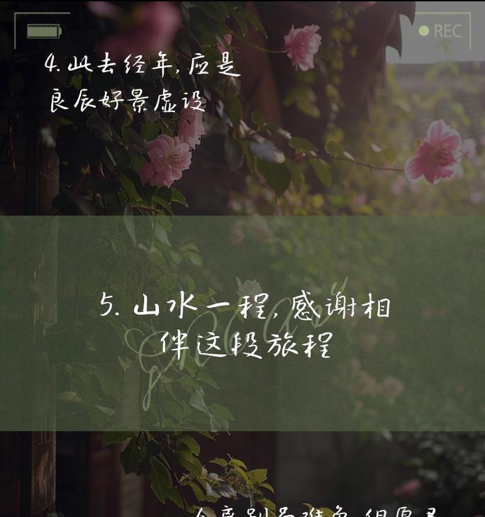 哪种花的花语是表达“想再见一面”？