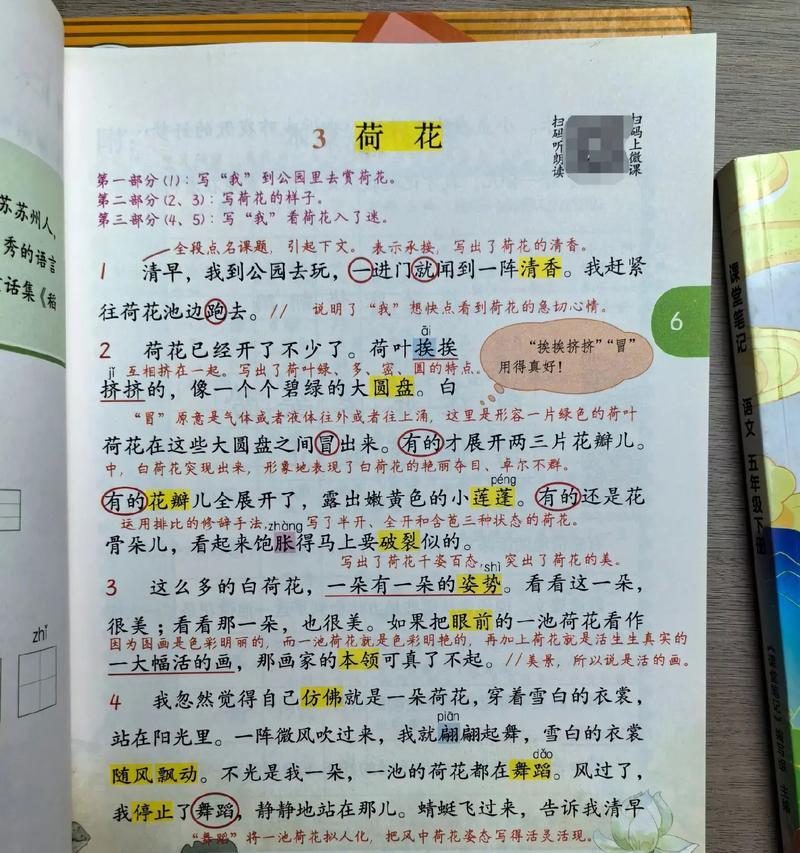 三朵玫瑰花莲代表的含义是什么？