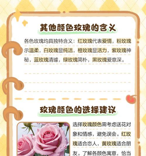 见面时送玫瑰花有什么含义？哪种颜色最合适？