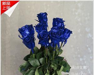 蓝色妖姬作为父亲节礼物的含义是什么？