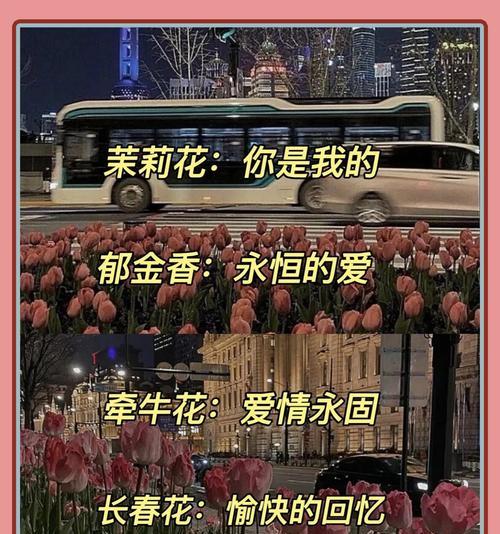 哪种花代表永恒的等待？花语中有哪些表达等待的花卉？