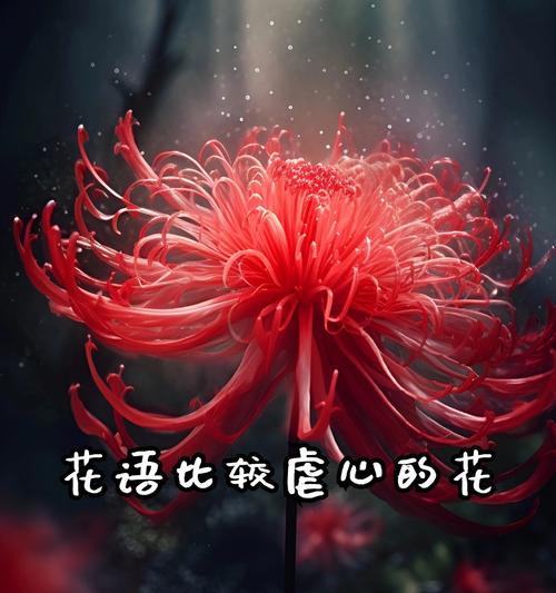 最好的花语寓意是什么？哪种花代表最佳祝福？