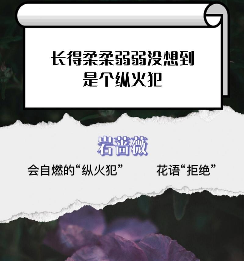 表示不爱的花语有哪些？如何表达拒绝？