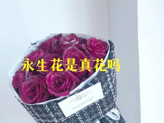 永生花与鲜花的花语有何不同？它们各自代表了什么？