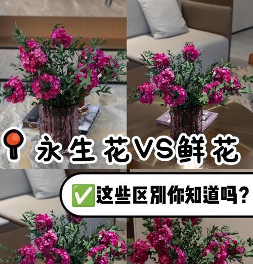 永生花与鲜花的花语有何不同？它们各自代表了什么？