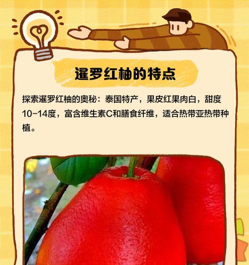 红柚天香花语是什么花啊？红柚天香的花语代表什么？
