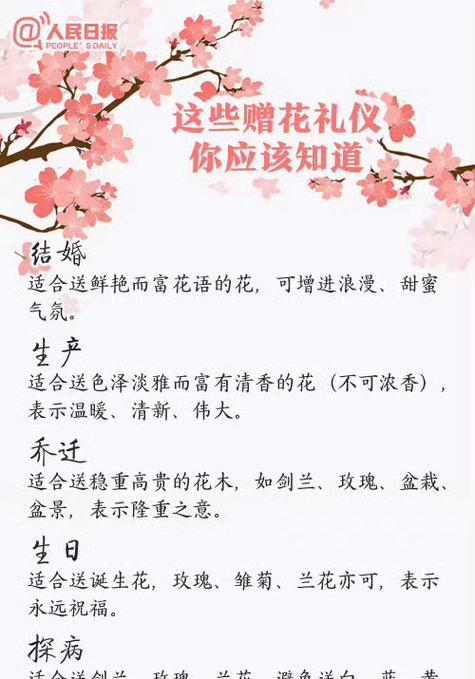 大亨玫瑰的花语是什么？它传递了哪些情感？