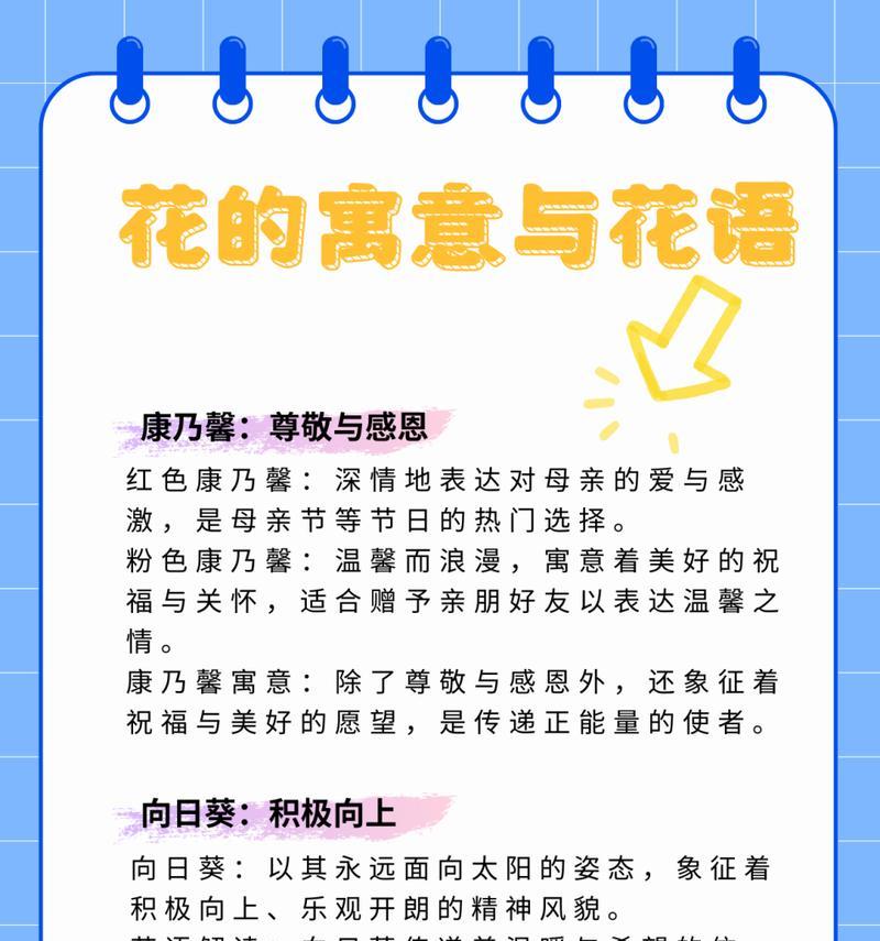 红玫瑰自用的花语有何含义？