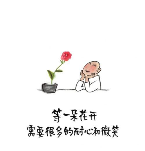 等一分钟的花语有何寓意？这个表达代表什么？