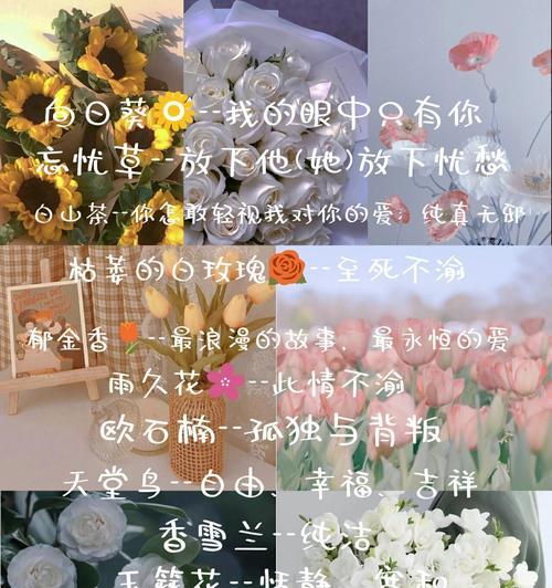 连接意义的花语有哪些？