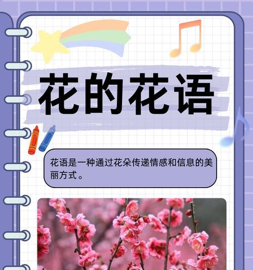 连接意义的花语有哪些？