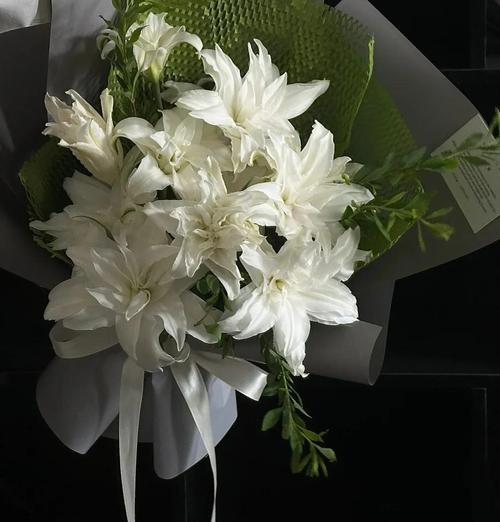 莲花盘花的寓意与花语有何不同？