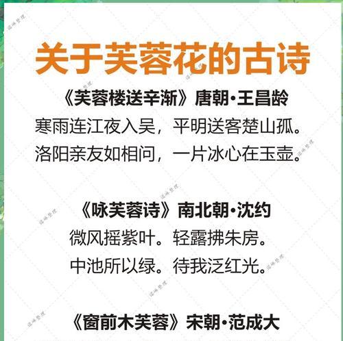 芙蓉与荷花各自的花语有何不同？