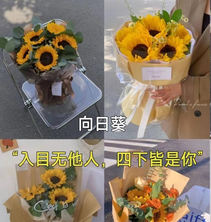 哪些花的花语表达了对生活的热爱？