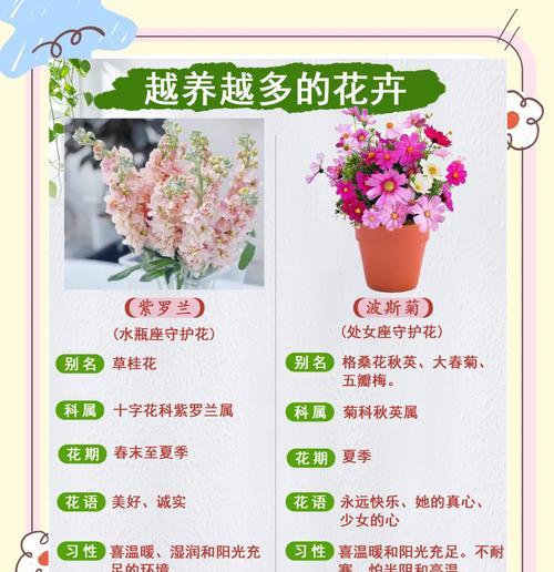 阳台养护紫藤盆栽的秘诀是什么？