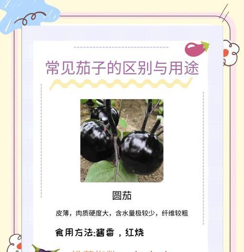 如何提升茄子冬季和春季的种植产量？