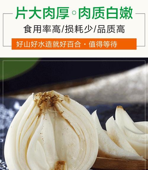 百合有哪些推荐的品种？