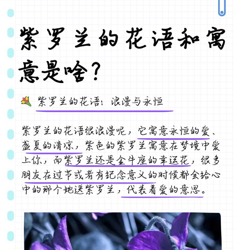 紫罗兰应该如何种植？紫罗兰的种植方法是什么？