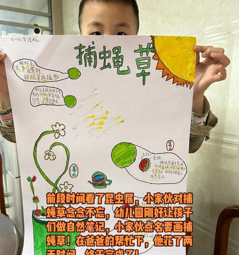 捕蝇草的生长环境是什么？捕蝇草生长环境的全解析是什么？