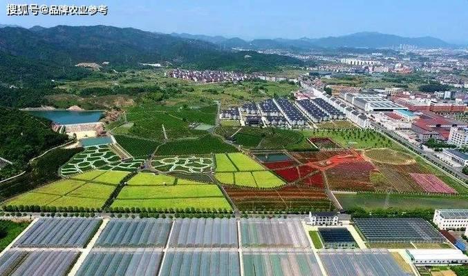 如何实现农村高效种植？现代农业与传统种植如何结合？