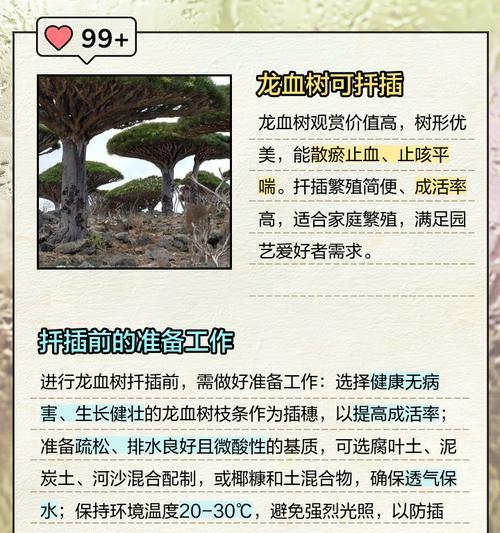 扦插时间及方法是什么？如何正确进行植物扦插？