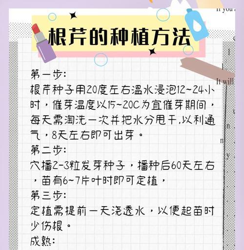 芹菜催芽指南掌握技巧轻松发芽是什么？
