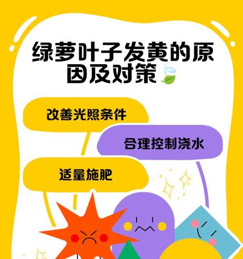 绿植叶子发黄？找到原因并解决的方法是什么？