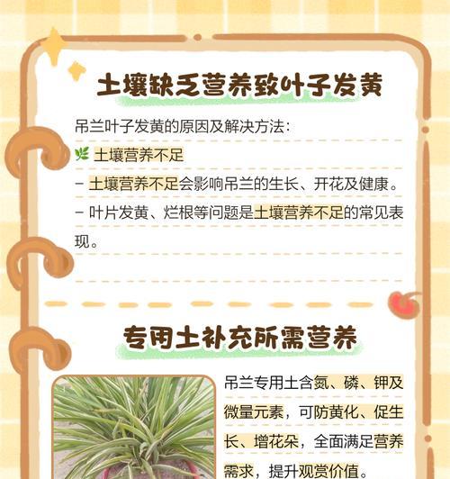绿植叶子发黄？找到原因并解决的方法是什么？