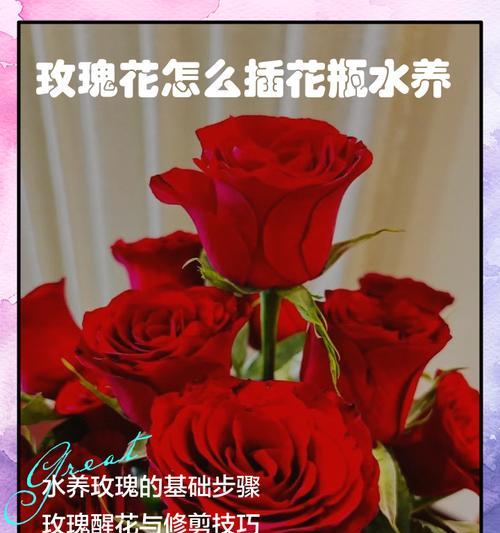 如何正确插玫瑰花到花瓶中？