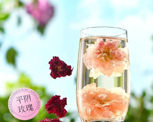 玫瑰花为何需要低温养护？