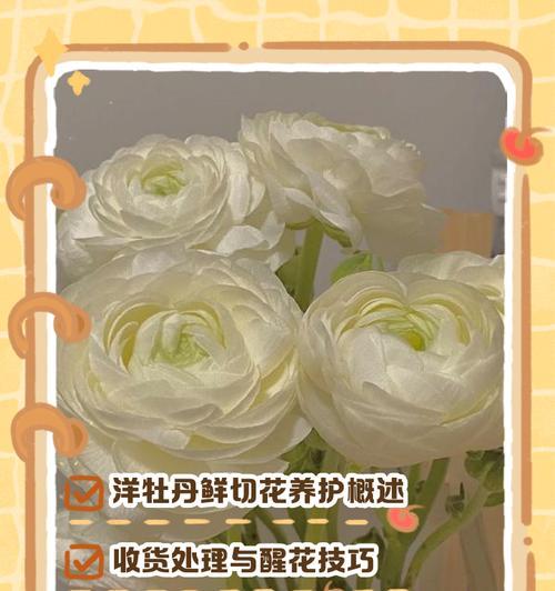 牡丹花养护应遵循哪些原则？