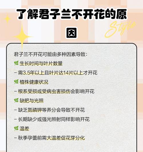 君子兰多年不开花的原因？如何激发君子兰开花？