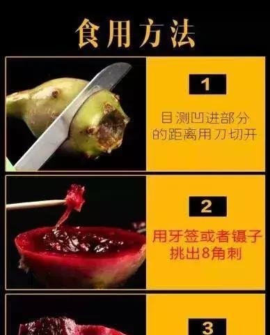 仙人掌冻了怎么养回来的？有哪些恢复措施？