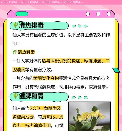 仙人掌冻了怎么养回来的？有哪些恢复措施？